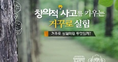 2025 창의적 사고를 키우는 거꾸로 실험 직무연수 썸네일 이미지